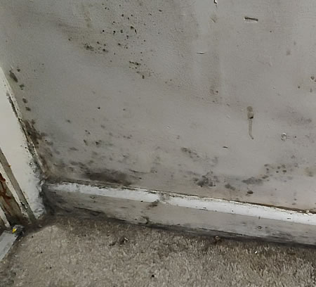 rising damp removal South East London