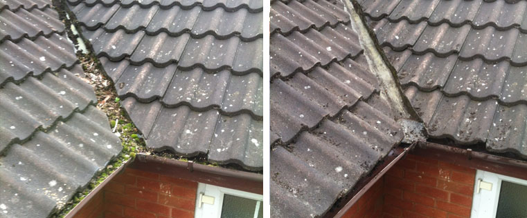 roof cleaning services South East London, Bromley, South Croydon, Beckenham and Kent areas