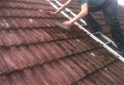 ROOF CLEANING