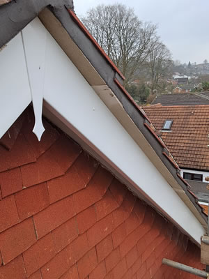 Guttering and Roofline
